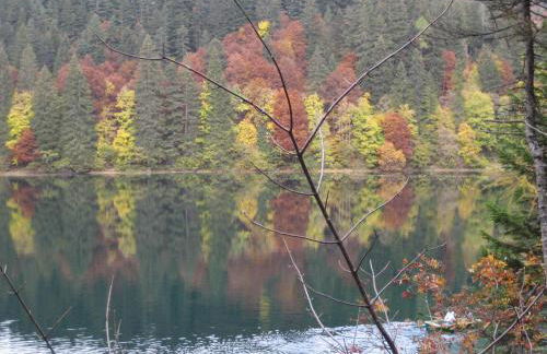 Il Granello - Foto 32