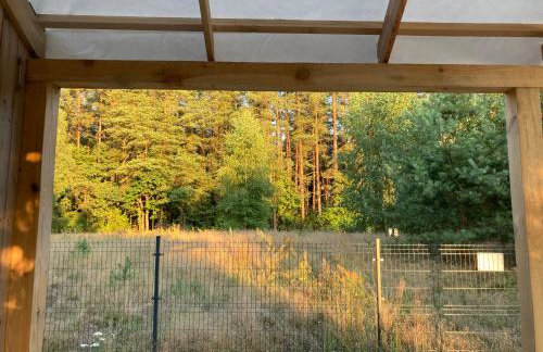 Przystanek Naglady Warmia- całoroczny, duża leśna działka - Foto 18