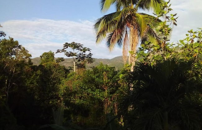 Lovely 1-bed Cottage in St Catherine Jamaica - Foto 5