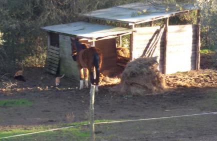 Monolocale di Meo - Foto 26