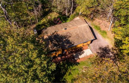 Serenity Grove Game Room Fire Pit Dog Friend - Foto 35