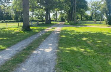 Les Rimpaudieres - Foto 13