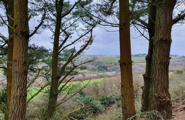 3 Bedroom Caravan, Sleeps 8, at Parkdean Newquay Holiday Park - Foto 65