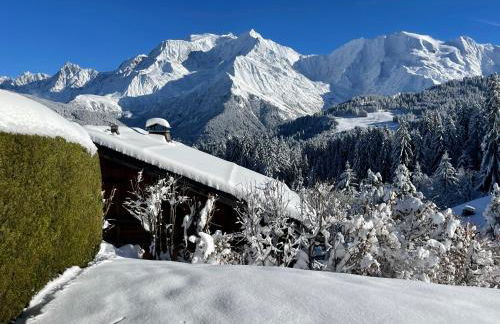 Vue splendide Mont Blanc - Foto 6