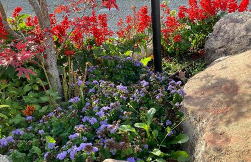 Casa Martina - Foto 75