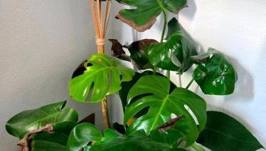 Maison atypique médiévale - Foto 3