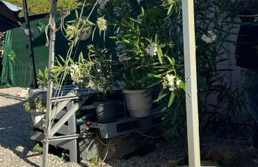 Sunny house - Foto 64