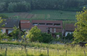 L'Horizon du Vignoble - Foto 8