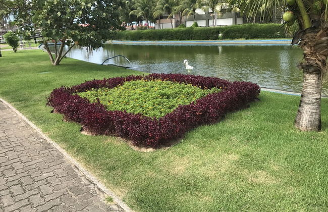 Aquaville Resort - Photo 68