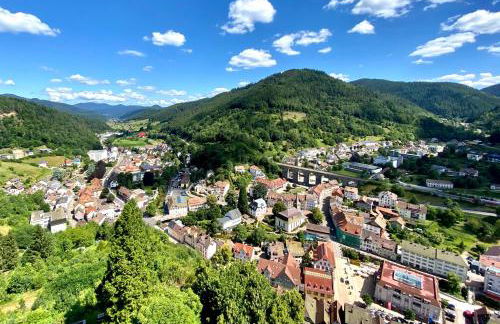 Ferienwohnung zur Bierliebe - Mit toller Aussicht im Herzen des Schwarzwaldes - Foto 54