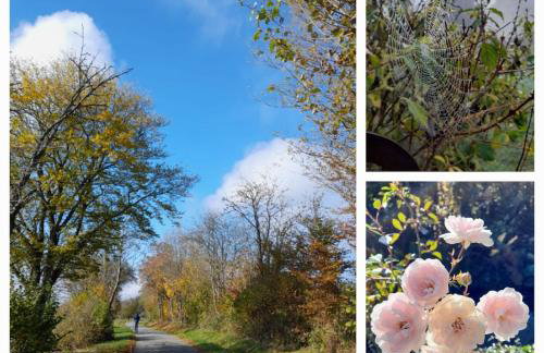 Fewo Waldtherme Relaxen, wandern, Radfahren - Foto 27