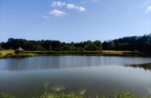 Leśna Osada Szegdy - Foto 17