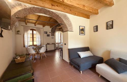 Vitis Verde - Foto 10