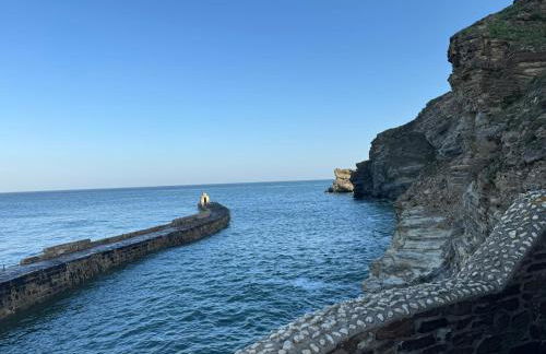 Harbour Edge - Photo 10