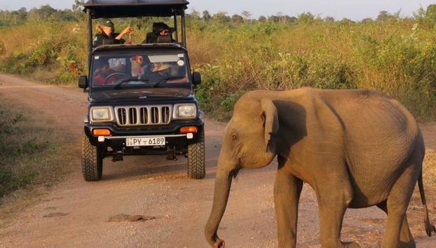 Safári privado por Udawalawe