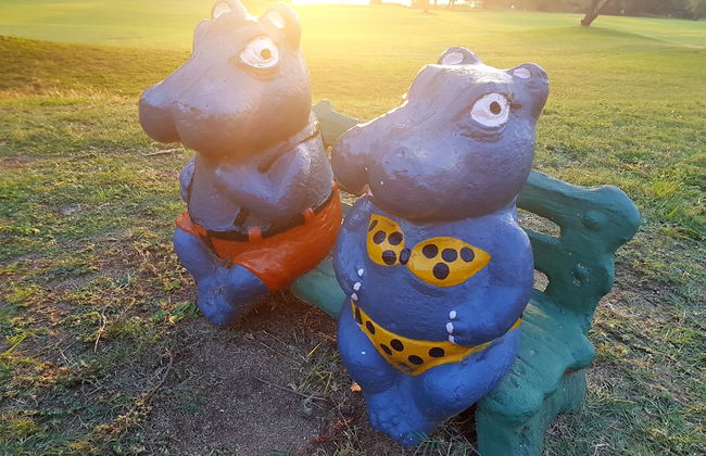 Kruger Park Lodge - Photo 48