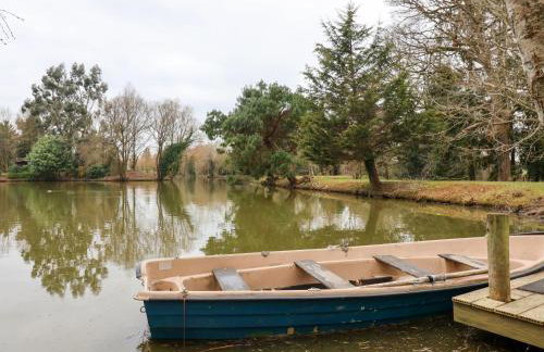 Woodpeckers - Photo 28