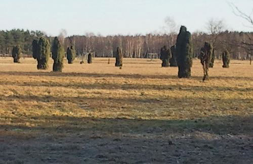 An der Heide - Foto 18