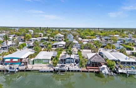 Navy Flamingo - Foto 19