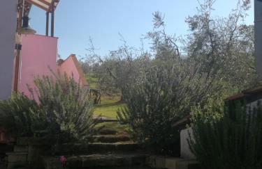 Agriturismo Campolungo - Foto 51