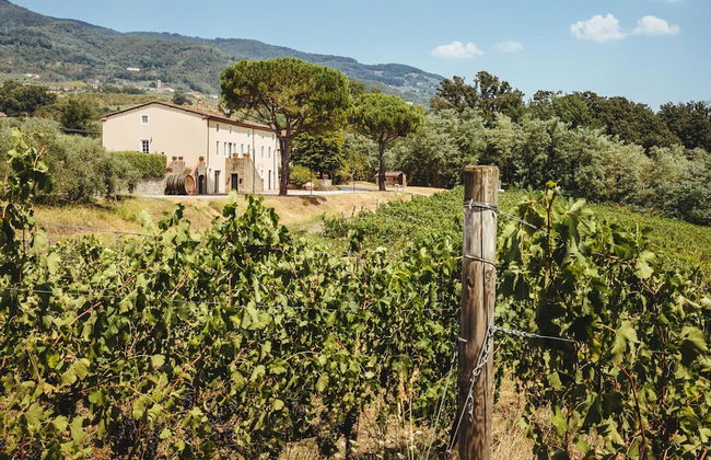 Fattoria Camigliano Wine Estate - Foto 67