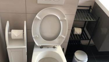 Horticulture 2 Appartement Saint-Louis Parking - Foto 3