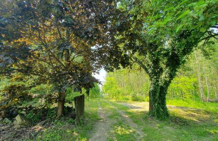 Wierzchowina Relax & Reset - Foto 33