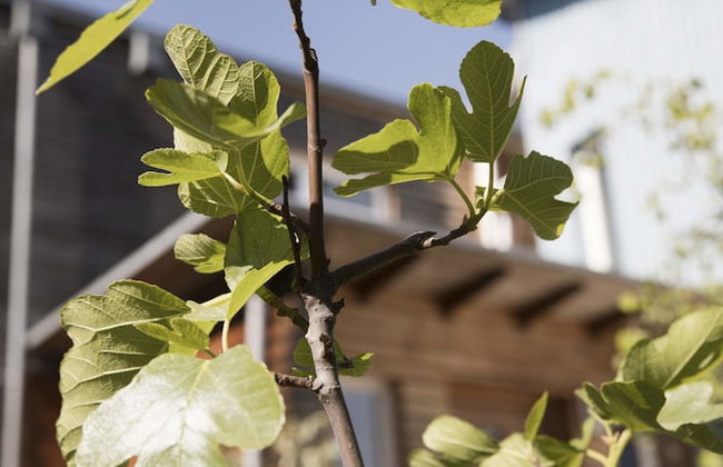 Ferienhaus Dornstetten - Foto 36