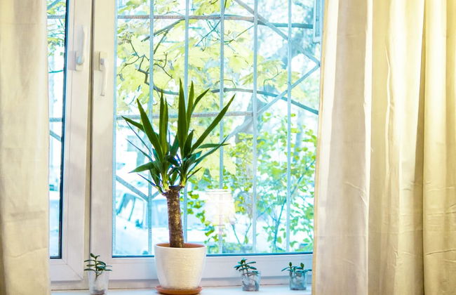 Funny Dolphins Apartments Kurskaya - Foto 23