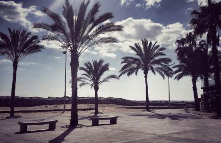 Villa SCIROCCO Madeira - Ocean View - Foto 60