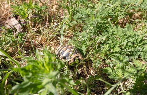 2 Bedroom Lovely Apartment In Citluk - Foto 20