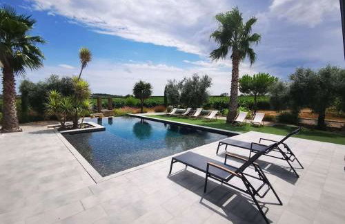 Villa contemporaine avec piscine à débordement dans un domaine viticole - Foto 7