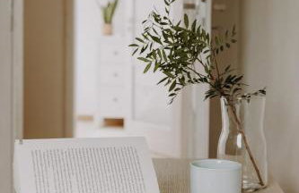 Osada Grzybowski Młyn apartamenty z dużym ogrodem KAISERÓWKA - Foto 12