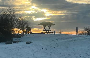 Zur Schwalbe - Photo 42