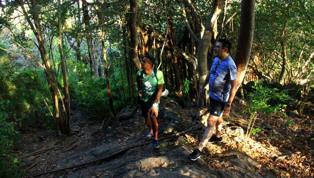 Trilha do Piquinho Hike - Foto 3