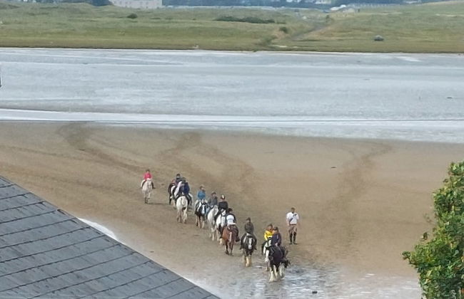 One Bed Apartment in Carrigart for Couple on WAW - Foto 22