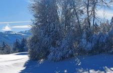 Traumplatz im Allgäu - Foto 37