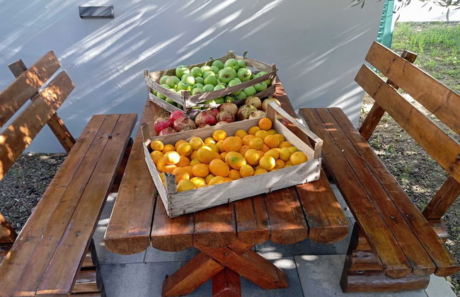 Villa Pero & Jele - Foto 36