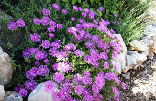 Charming dalmatian apartment with panoramic view - Foto 23