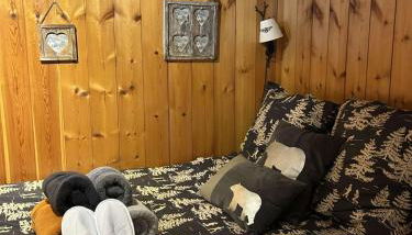 App style chalet de caractère, chaleureux et confortable pied des pistes - Foto 4