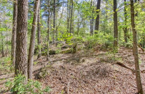 136 Private Acres Lakefront Aiken County Home! - Foto 38