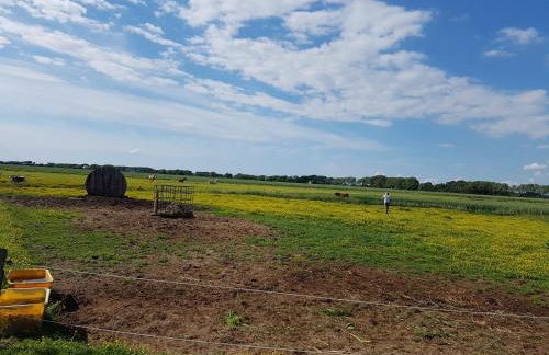 Bauernhof Südfrersbüll - Foto 10