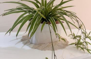 Etna holiday - Foto 21