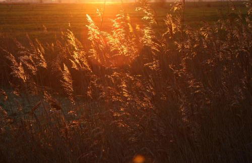 Ferienwohnung-SonnenMeer - Photo 15