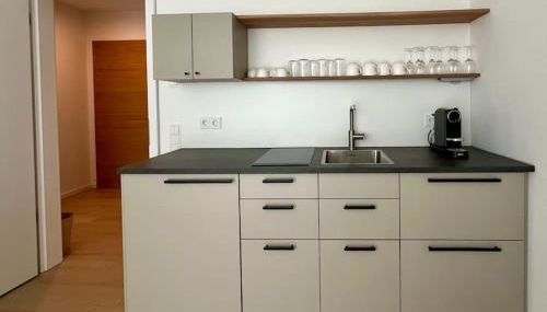 Schickes 2-Zi-Apartment am Neckarufer im BUGA-Park - Foto 5