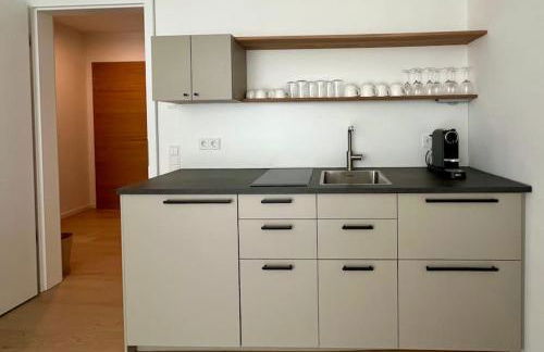 Schickes 2-Zi-Apartment am Neckarufer im BUGA-Park - Foto 5