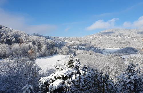 Le Chant du Loriot - Foto 40