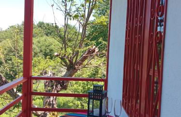 O Salgueiral - Foto 13