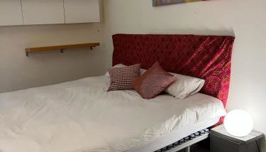 App privado en casa, si mascotas - Foto 3