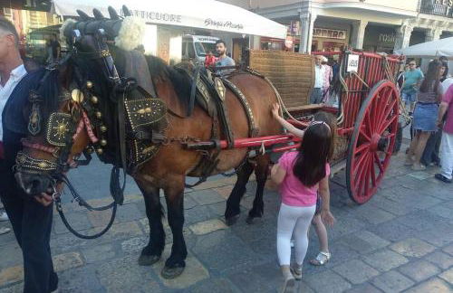 Estudio en el centro - Foto 27